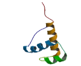 Zinc Fingers And Homeoboxes Protein 3 (ZHX3)