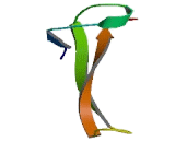 Zinc Ribbon Domain Containing Protein 1 (ZNRD1)