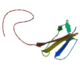 Zona Pellucida Binding Protein 2 (ZPBP2)