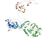 Zona Pellucida Glycoprotein 2, Sperm Receptor (ZP2)