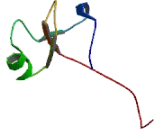 Zona Pellucida Glycoprotein 4 (ZP4)