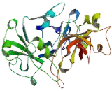 Zona Pellucida Like Domain Containing Protein 1 (ZPLD1)