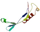 Zwilch, Kinetochore Associated Homolog (ZWILCH)