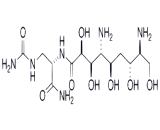 Zwittermicin A (ZwA)