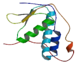 cAMP Regulated Phosphoprotein 21kDa (ARPP21)