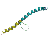 cAMP Responsive Element Binding Protein 3 Like Protein 1 (CREB3L1)