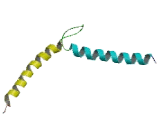 cAMP Responsive Element Binding Protein 3 Like Protein 2 (CREB3L2)