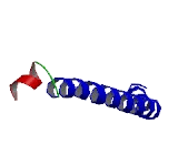 cAMP Responsive Element Binding Protein 3 Like Protein 4 (CREB3L4)