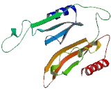 Ferredoxin Fold Anticodon Binding Domain Containing Protein 1 (FDXACB1)