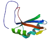 hnRNP Associated With Lethal Yellow Protein (RALY)