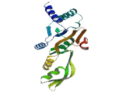 mRNA Turnover Protein 4 (MRTO4)