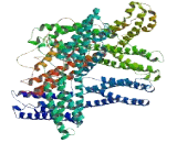 Coiled Coil Domain Containing Protein 171 (CCDC171)