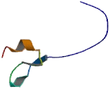 p21 Protein Activated Kinase 6 (PAK6)