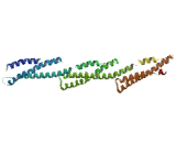 t-SNARE Domain Containing Protein 1 (TSNARE1)