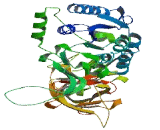 tRNA-5-Methylaminomethyl-2-Thiouridylate Methyltransferase (TRMU)