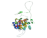 tRNA Aspartic Acid Methyltransferase 1 (TRDMT1)