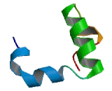 tRNA Histidine Guanylyltransferase 1 Like Protein (THG1L)