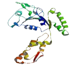 tRNA Isopentenyltransferase 1 (TRIT1)