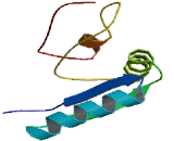 tRNA Methyltransferase 1 Homolog (TRMT1)