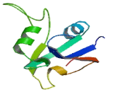 tRNA Methyltransferase 11 Homolog (TRMT11)