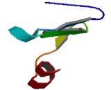 tRNA Methyltransferase 112 Homolog (TRMT112)