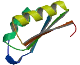 tRNA Methyltransferase 2 Homolog A (TRMT2A)