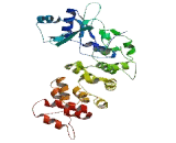 tRNA Nucleotidyltransferase 1, Mitochondrial (TRNT1)