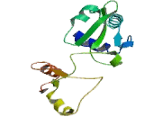 tRNA Phosphotransferase 1 (TRPT1)