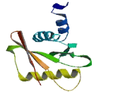 tRNA Splicing Endonuclease 15 (TSEN15)