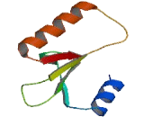 tRNA Splicing Endonuclease 34 (TSEN34)