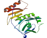 tRNA Splicing Endonuclease 54 (TSEN54)