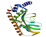 tRNA-yW Synthesizing Protein 3 (TYW3)