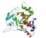 tRNA-yW Synthesizing Protein 5 (TYW5)