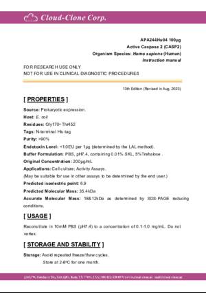 Active-Caspase-2-(CASP2)-APA244Hu04.pdf