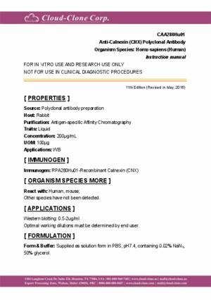 Anti-Calnexin-(CNX)-Polyclonal-Antibody-CAA280Hu01.pdf