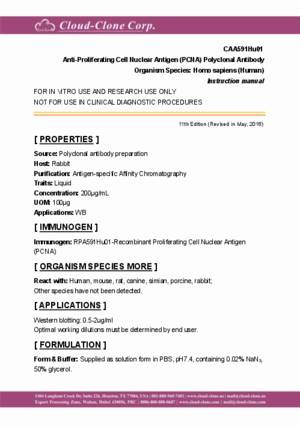 Anti-Proliferating-Cell-Nuclear-Antigen-(PCNA)-Polyclonal-Antibody-CAA591Hu01.pdf