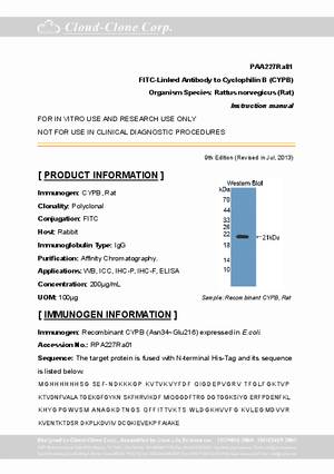 FITC-Linked-Antibody-to-Cyclophilin-B--CYPB--PAA227Ra81.pdf