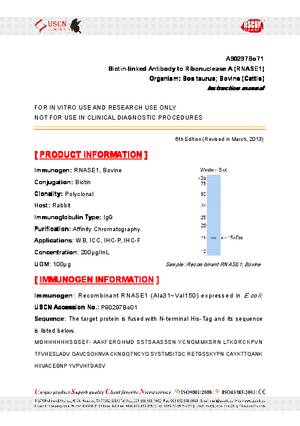 Antibody-to-Ribonuclease-A--RNASE1--A90297Bo71.pdf