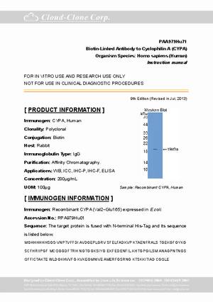 Biotin-Linked-Antibody-to-Cyclophilin-A--CYPA--PAA979Hu71.pdf