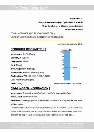Biotin-Linked-Antibody-to-Cyclophilin-A--CYPA--PAA979Mu71.pdf