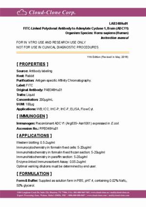 FITC-Linked-Monoclonal-Antibody-to-Adenylate-Cyclase-1--Brain-(ADCY1)-LAB348Hu81.pdf