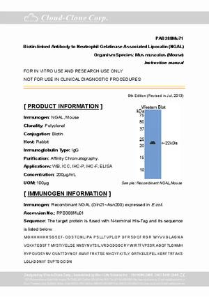 Biotin-Linked-Antibody-to-Neutrophil-Gelatinase-Associated-Lipocalin--NGAL--PAB388Mu71.pdf