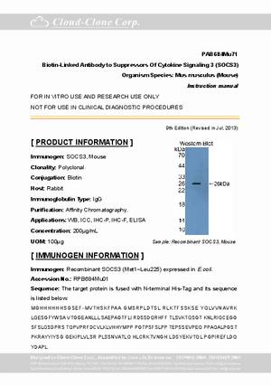 Biotin-Linked-Antibody-to-Suppressors-Of-Cytokine-Signaling-3--SOCS3--PAB684Mu71.pdf