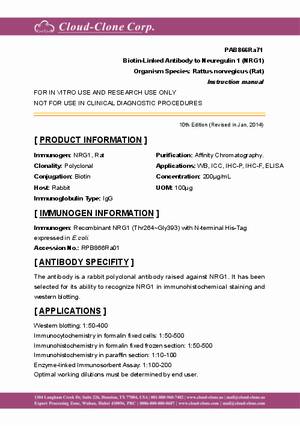 Biotin-Linked-Antibody-to-Neuregulin-1--NRG1--PAB866Ra71.pdf