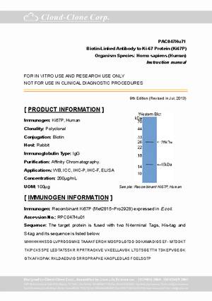 Biotin-Linked-Antibody-to-Ki-67-Protein--Ki67P--PAC047Hu71.pdf