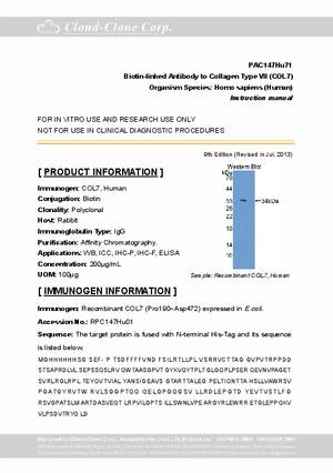 Biotin-Linked-Antibody-to-Collagen-Type-VII--COL7--PAC147Hu71.pdf