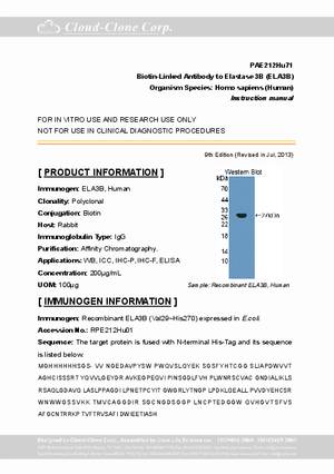 Biotin-Linked-Antibody-to-Elastase-3B--ELA3B--PAE212Hu71.pdf