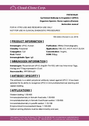 Cy3-Linked-Antibody-to-Uroplakin-2--UPK2--PAF561Hu61.pdf