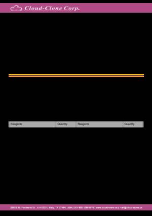 Magnetic-Luminex-Assay-Kit-for-Brain-Derived-Neurotrophic-Factor-(BDNF)-LMA011Mi.pdf