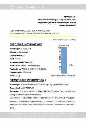 Monoclonal-Antibody-to-Caspase-3--CASP3--MAA626Ra21.pdf